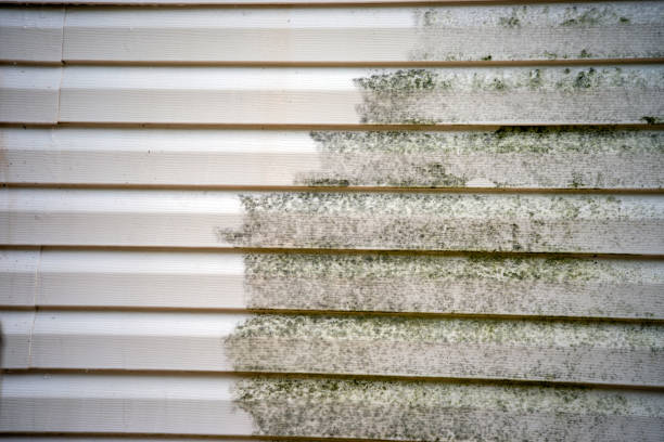 Best Wood Siding Installation  in Taylor, AL