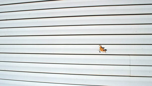 Best Historical Building Siding Restoration  in Taylor, AL