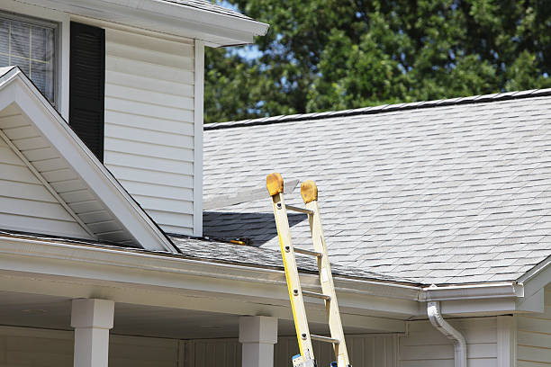 Best Siding for New Construction  in Taylor, AL