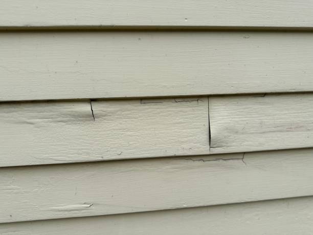 Best Engineered Wood Siding  in Taylor, AL